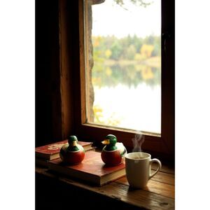 Vintage Jasco Ceramic Duck Lint Remover Brush Green Winged Teal and Wood Ducks